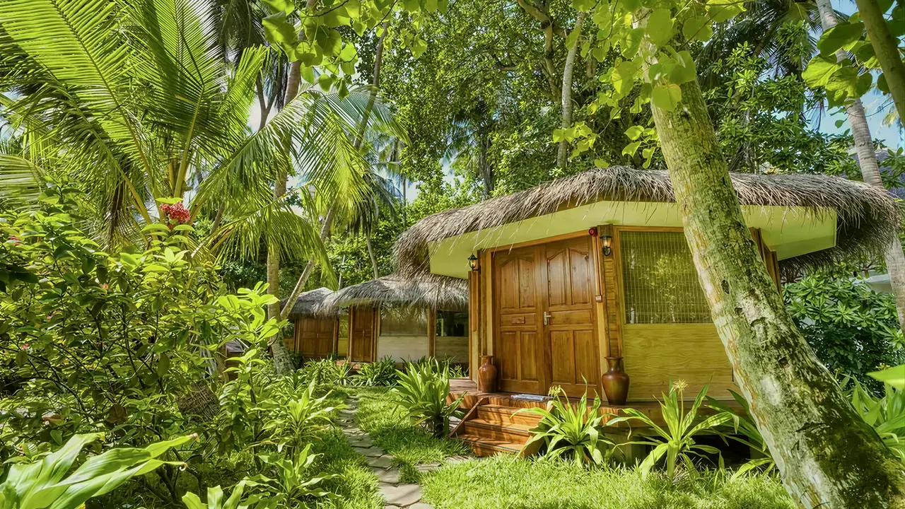 Drewniane domki w ogrodzie Fihalhohi Island Resort