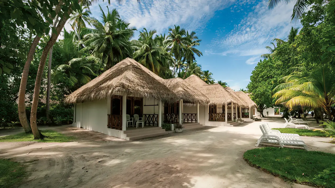 Bungalowy budynek Fihalhohi Island Resort wśród palm