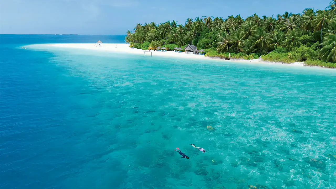 Osoby nurkujące w turkusowej wodzie przy Fihalhohi Island Resort