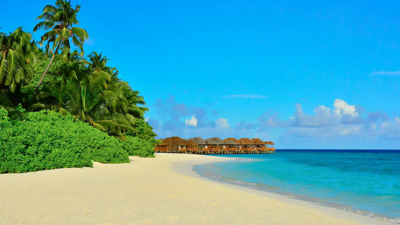 Piaszczysta plaża i turkusowa woda w Fihalhohi Island Resort