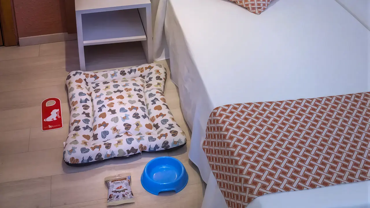 Pokój w GHT Balmes z legowiskiem dla psa