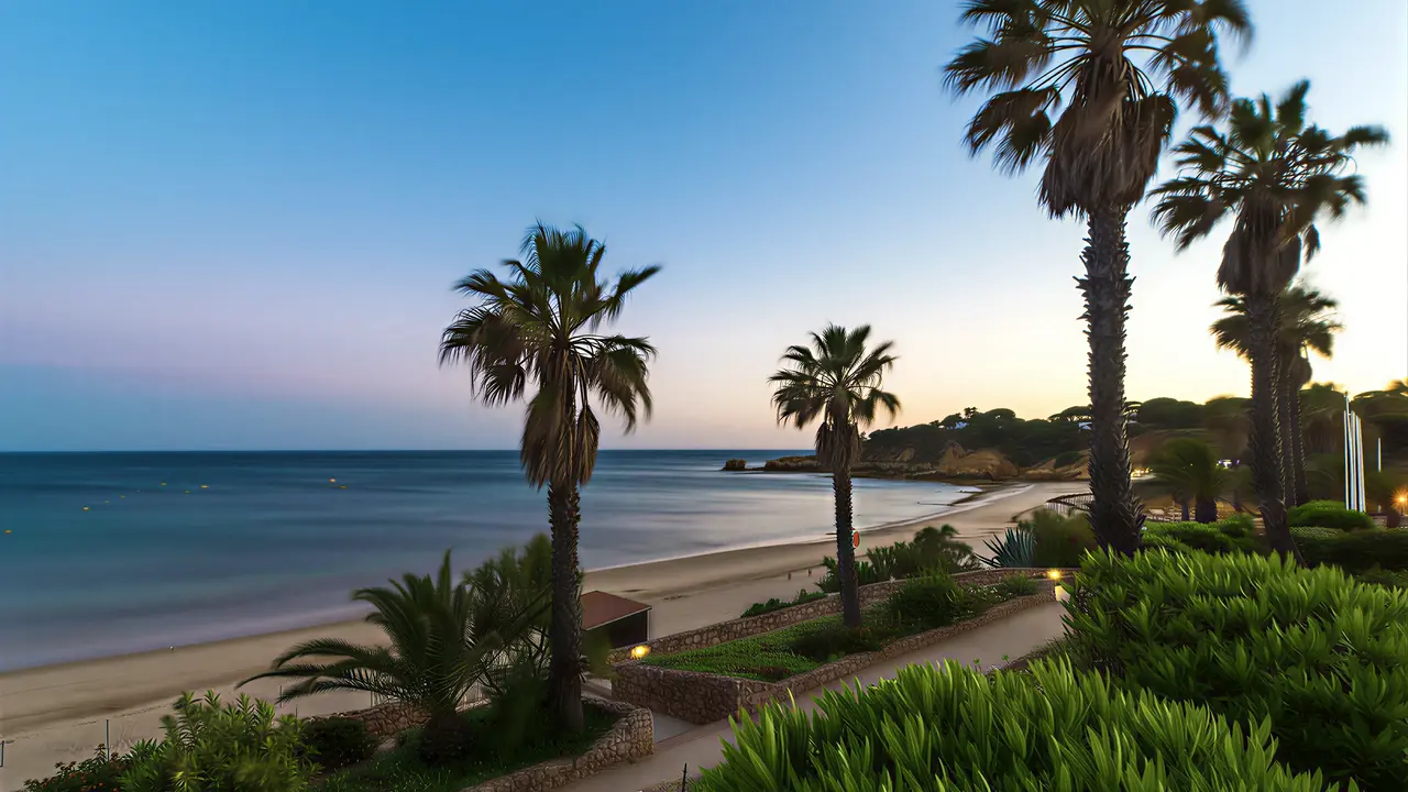 Plaża i palmy przy Grande Real Santa Eulalia
