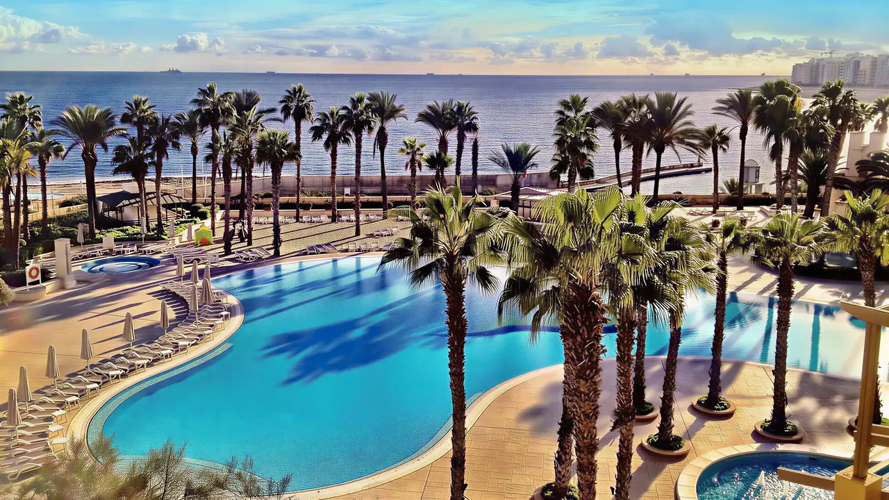 Basen z palmami w Hilton Malta