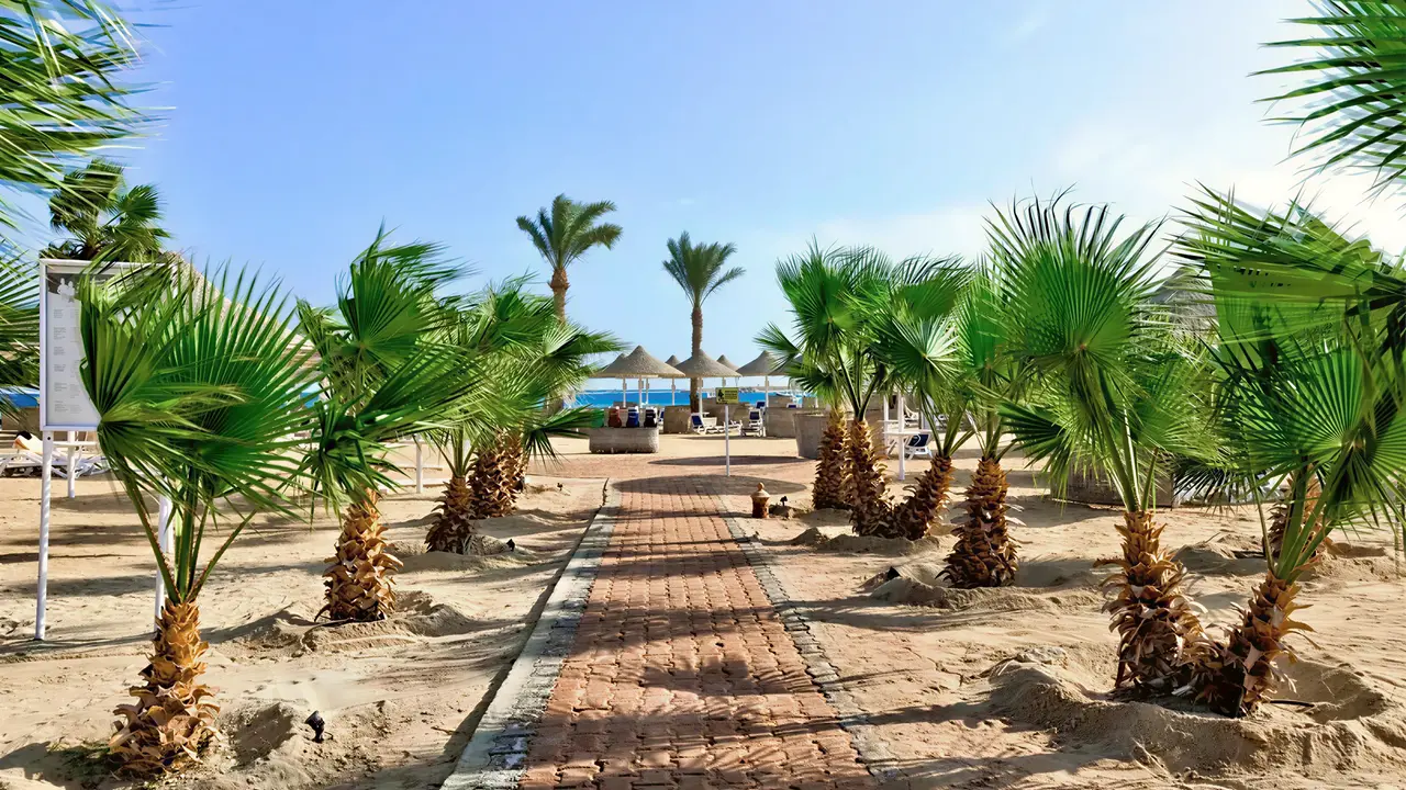 Ścieżka prowadząca na plażę w Hilton Marsa Alam Nubian Resort