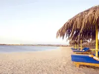 Leżaki pod słomianymi parasolami na plaży Hilton Marsa Alam Nubian Resort