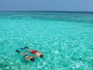 Osoby snurkujące w wodzie przy Hurawalhi Island Resort