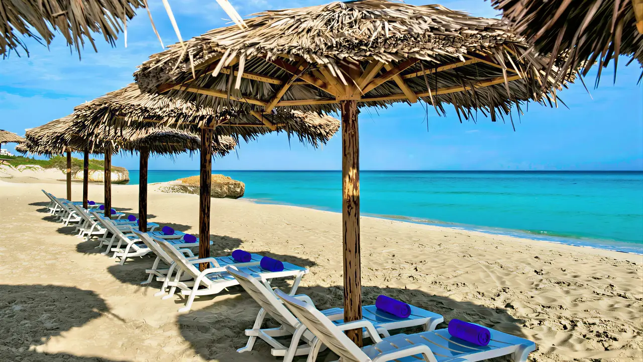 Leżaki pod słomianymi parasolami w Iberostar Origin Bella Vista