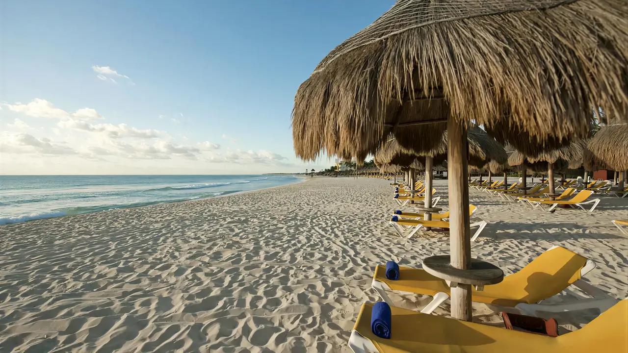 Plaża z leżakami i parasolami w Iberostar Paraiso Del Mar