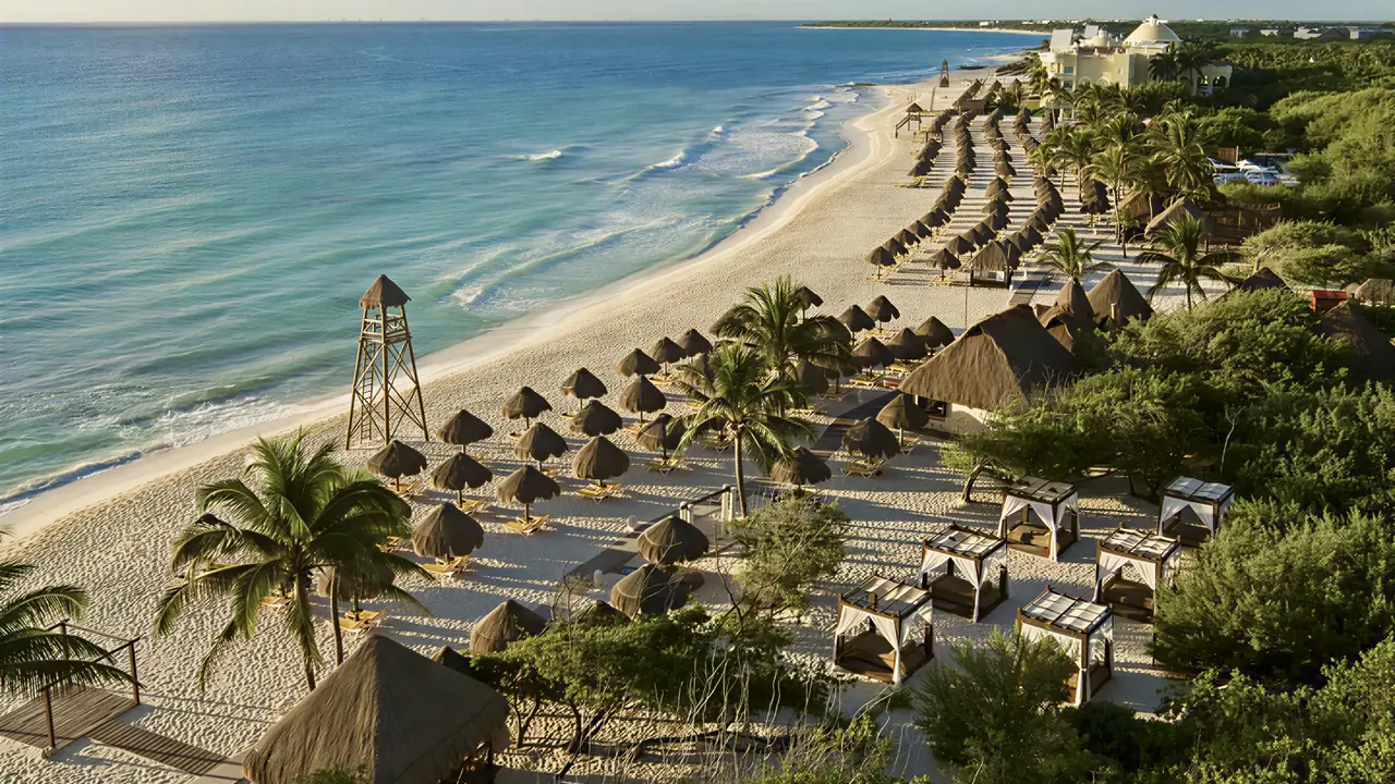 Plaża z leżakami i parasolami w Iberostar Paraiso Del Mar