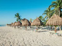 Plaża z leżakami i parasolami w Iberostar Paraiso Del Mar