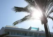 Elewacja budynku Iberostar Waves Bahia de Palma (ex Royal Cupido) z palmą na pierwszym planie
