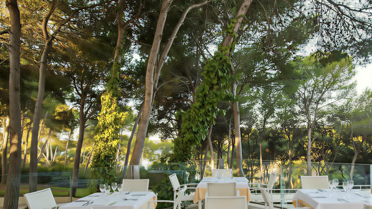 Stolik restauracyjny w otoczeniu drzew w Iberostar Waves Club Cala Barca