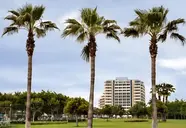 Widok na hotel Lara Barut Collection i palmy