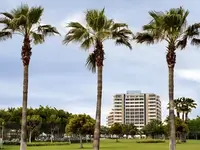Widok na hotel Lara Barut Collection i palmy