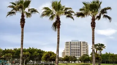 Widok na hotel Lara Barut Collection i palmy