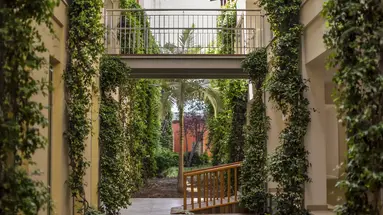 Dziedziniec hotelu Lara Barut Collection z zielenią