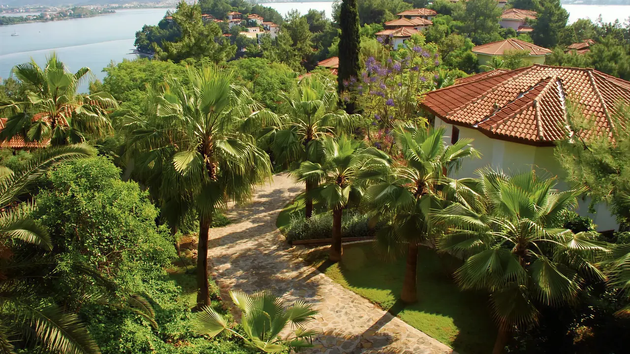 Widok na kompleks Letoonia Club z palmami