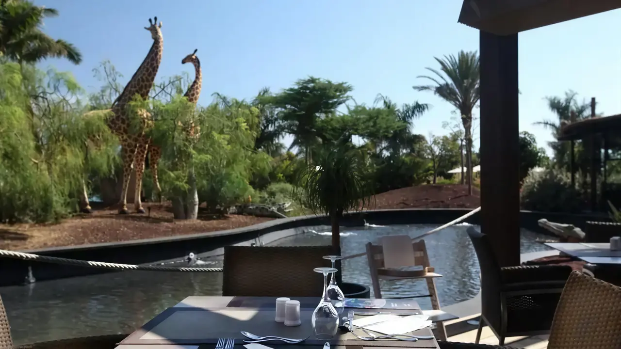 Stolik restauracyjny w Lopesan Baobab Resort z widokiem na żyrafy