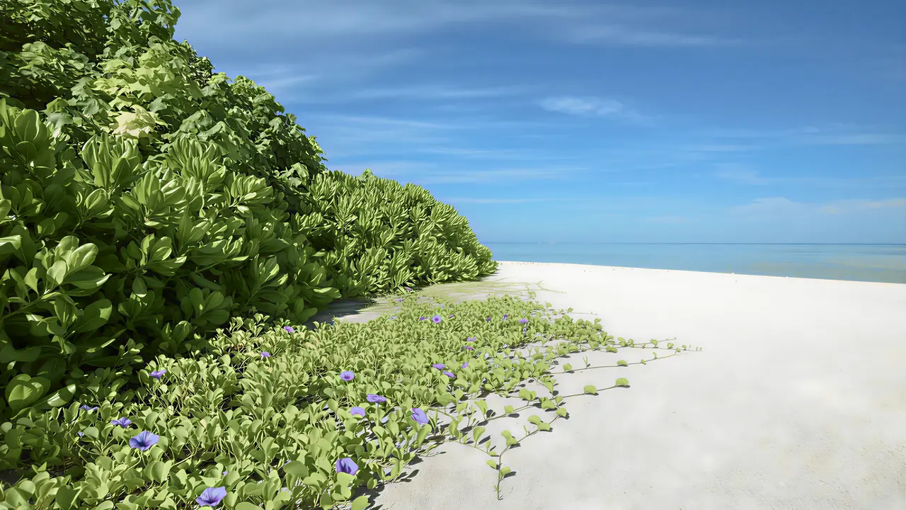 Biała plaża i roślinność w Makunudu Island