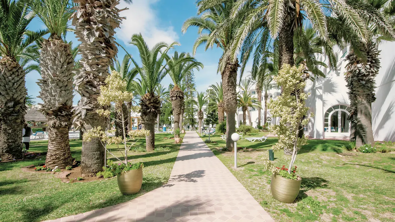 Ścieżka wśród palm w Marhaba Beach