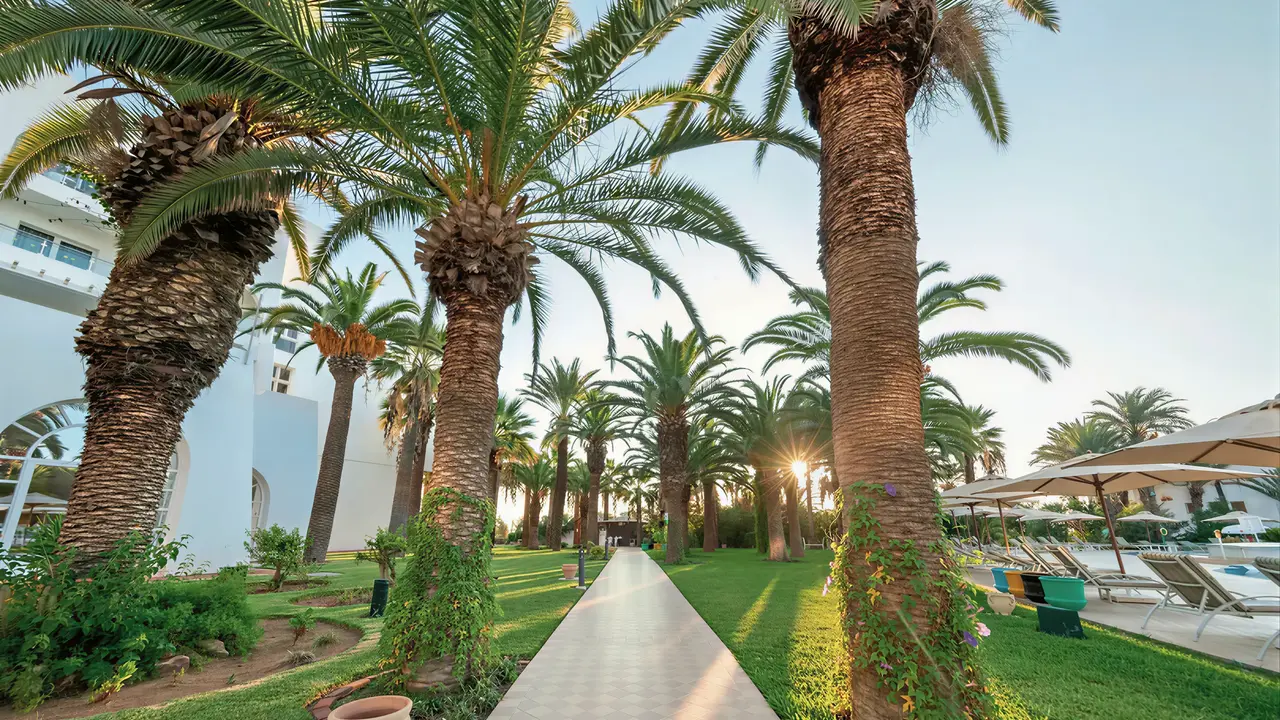 Ścieżka wśród palm w hotelu Marhaba Beach