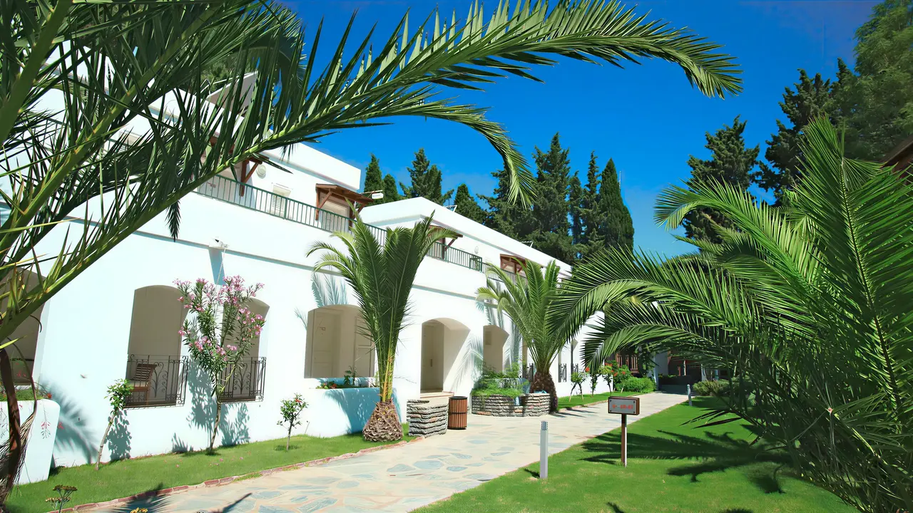 Biały budynek Marvida Senses Very Chic wśród zielonych palm