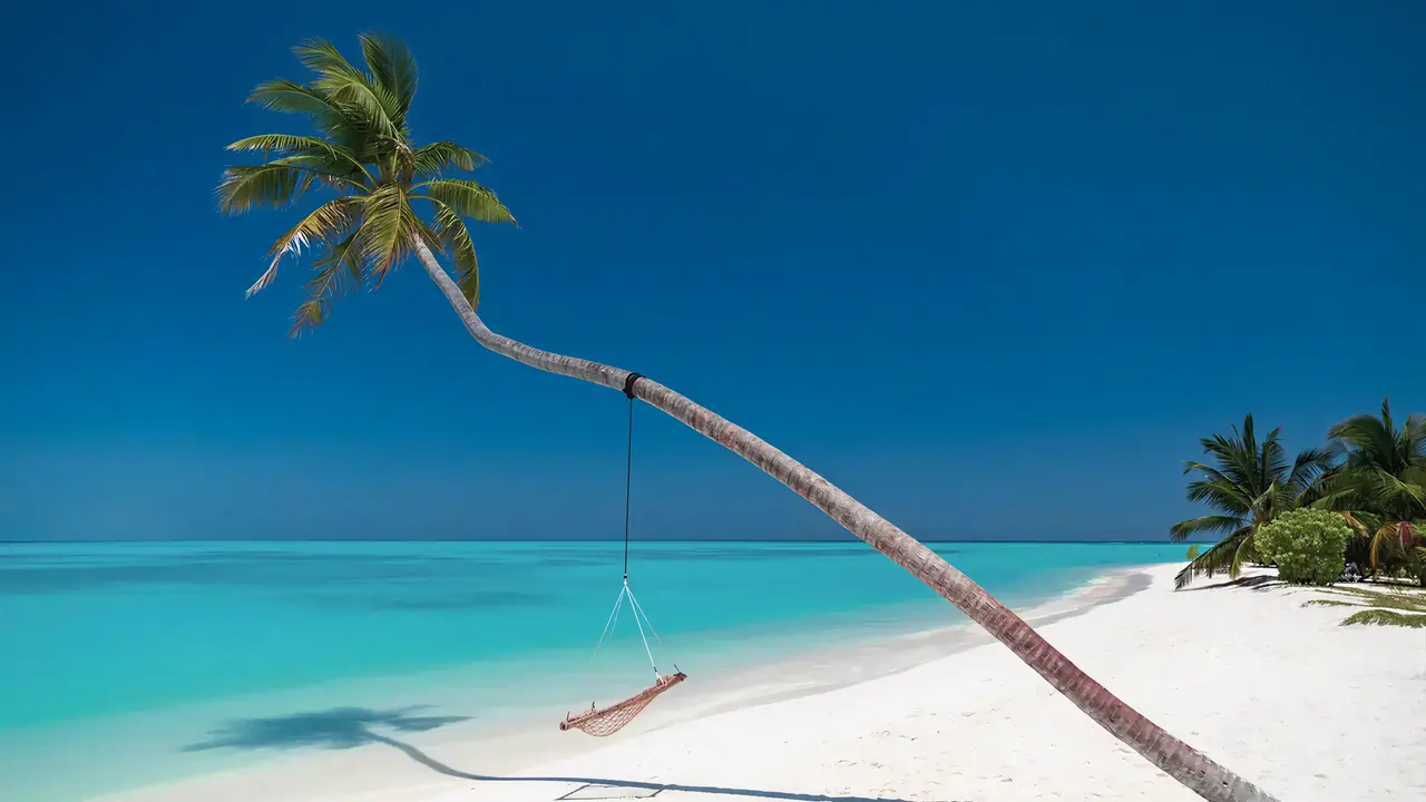 Biała plaża z hamakiem w Meeru Island Resort