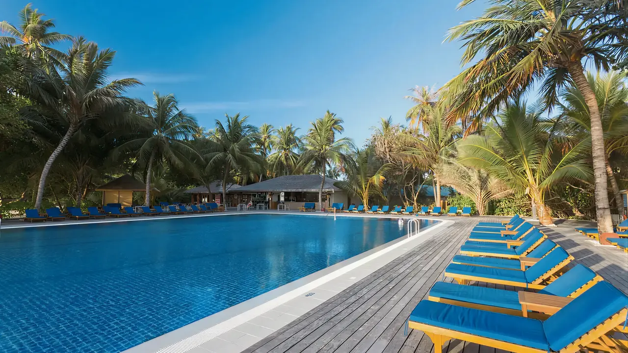 Basen z leżakami w Meeru Island Resort