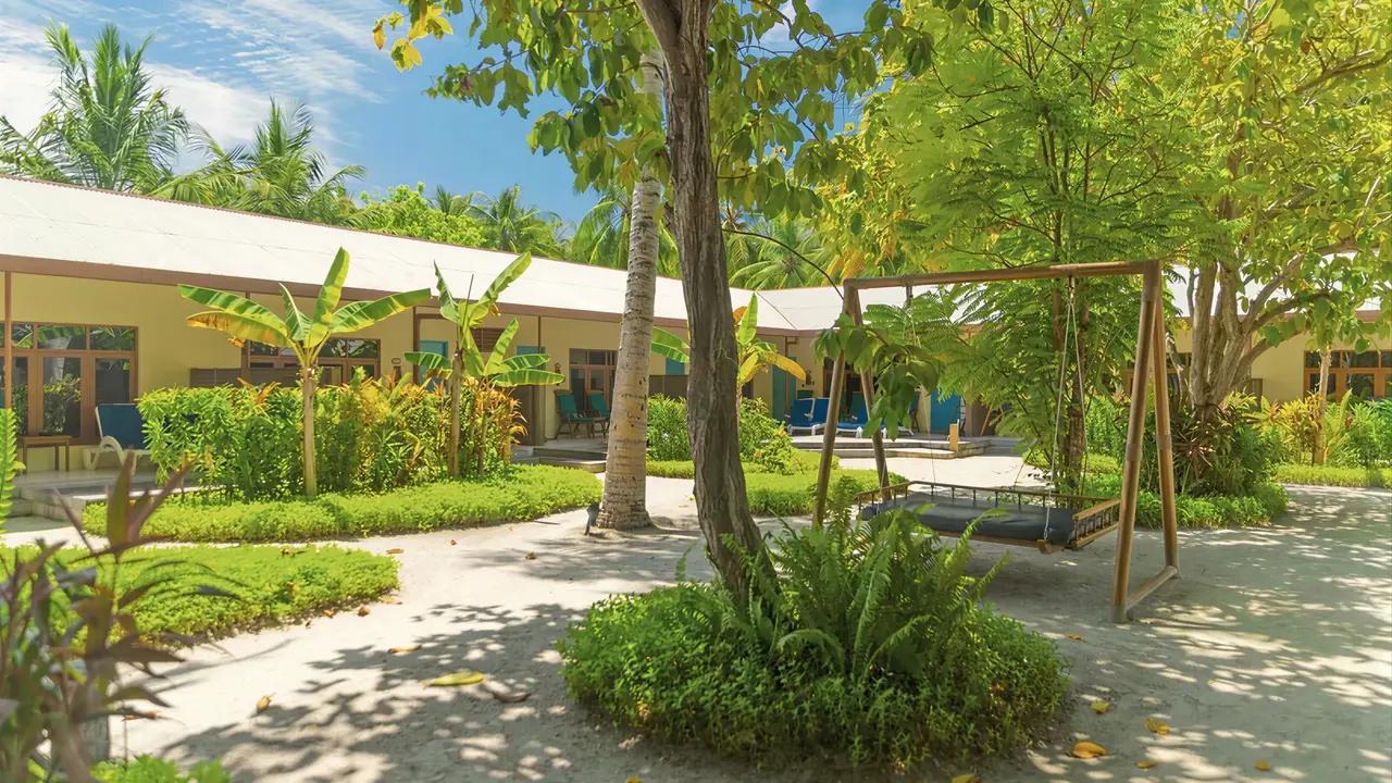 Zielony ogród z huśtawką w Meeru Island Resort