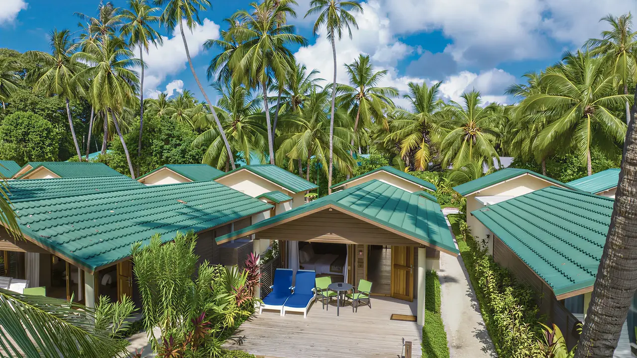 Widok na domki w Meeru Island Resort wśród palm