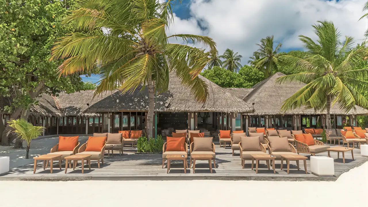 Leżaki na plaży w Meeru Island Resort pod palmami