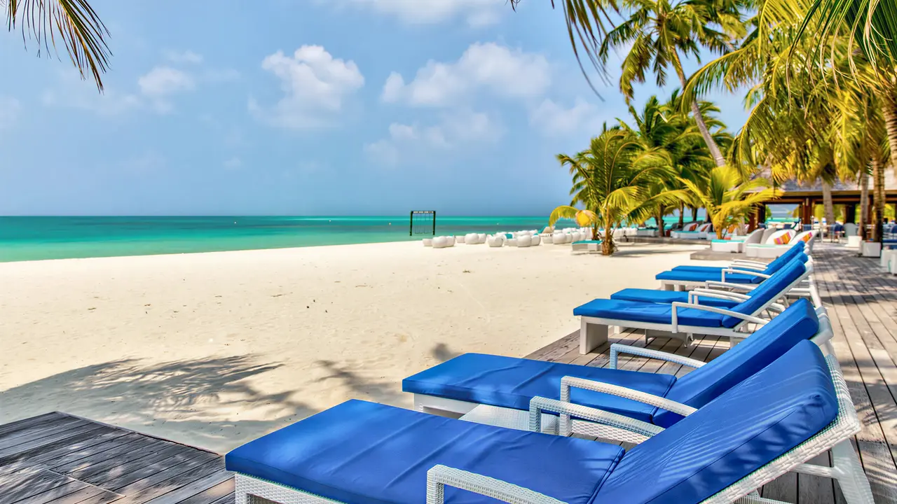 Niebieskie leżaki na plaży w Meeru Island Resort