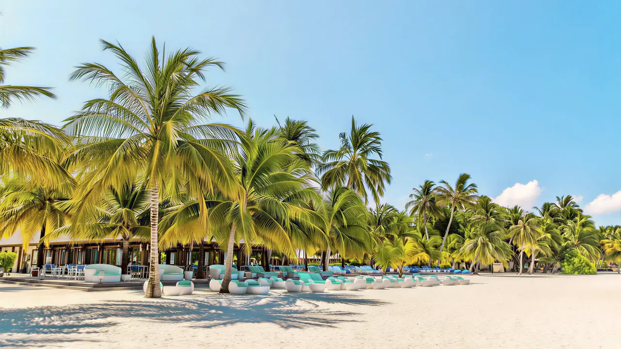 Leżaki na piaszczystej plaży w Meeru Island Resort