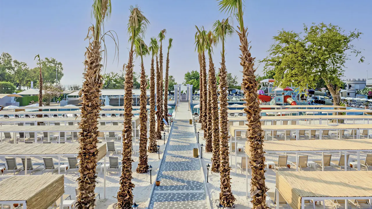 Leżaki i palmy na plaży w Miarosa Kemer Beach