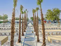 Leżaki i palmy na plaży w Miarosa Kemer Beach