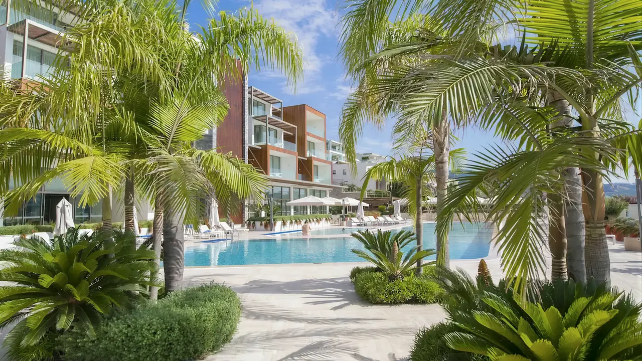 Basen i palmy w hotelu Mivara Luxury Resort & Spa Bodrum