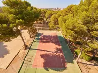 Kort tenisowy w otoczeniu drzew w MLL Palma Bay Club Resort