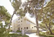 Elewacja budynku MLL Palma Bay Club Resort wśród zielonych drzew