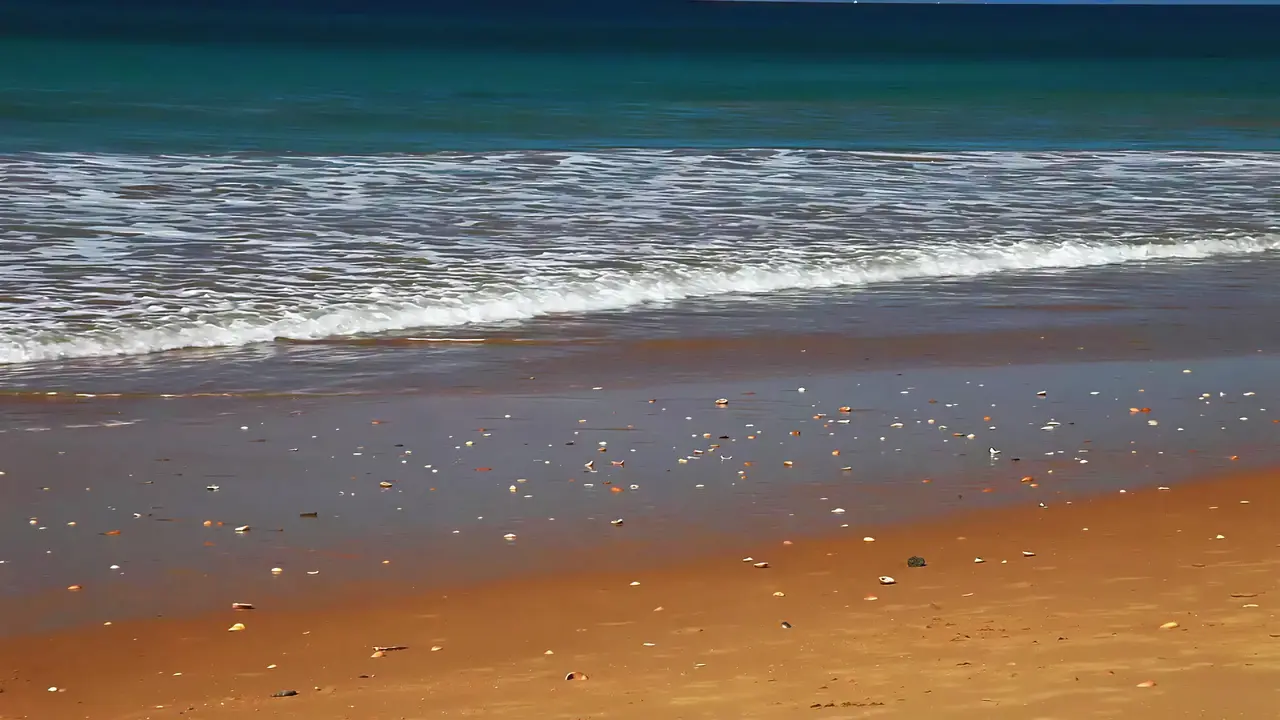 Piaszczysta plaża i morze w Monica Isabel Beach Club