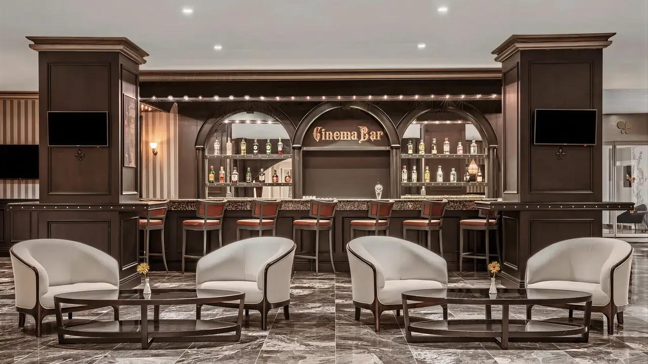 Bar Cinema Bar w hotelu Papillon Belvil