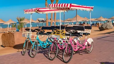 Rowery rekreacyjne przy hotelu Pickalbatros Vita Resort Portofino