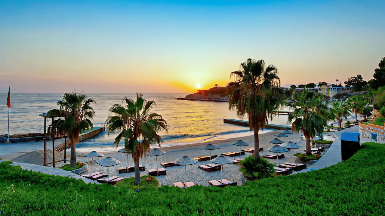 Plaża z leżakami i palmami w Pine Bay Holiday Resort