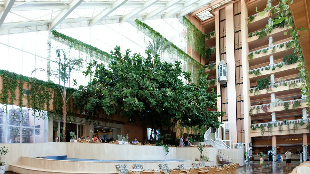 Przeszklone lobby z roślinami w PlayaCapricho