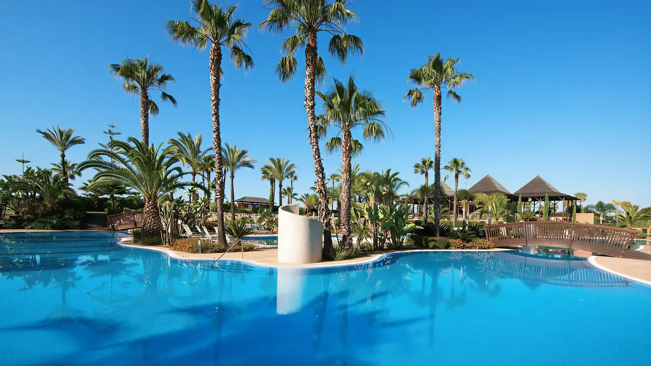 Basen z palmami w Puerto Antilla Grand