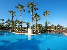 Basen z palmami w Puerto Antilla Grand