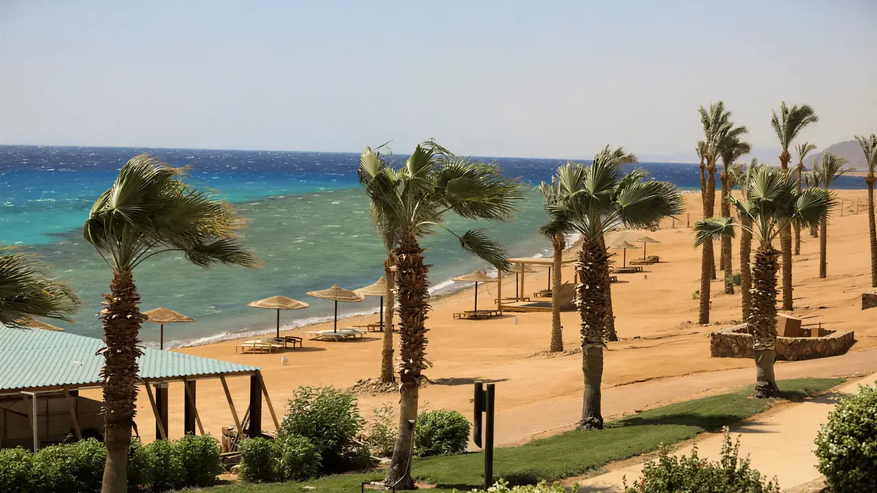 Plaża z palmami i parasolami w Retac Qunay Dahab Resort & Spa