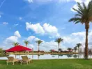 Basen z leżakami i parasolem w Retac Qunay Dahab Resort & Spa