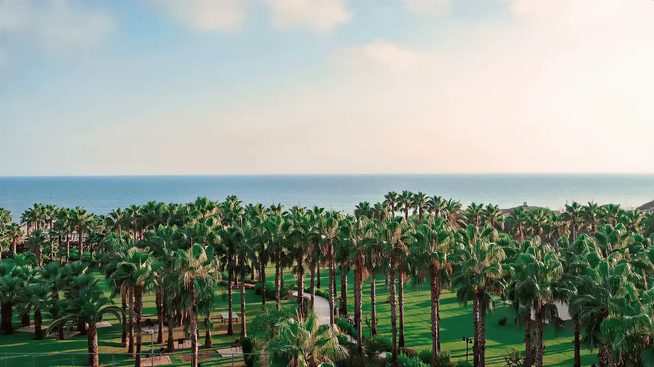 Palmy i zieleń w Royal Atlantis Beach nad morzem