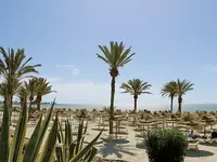 Plaża z parasolami i palmami w Royal Karthago