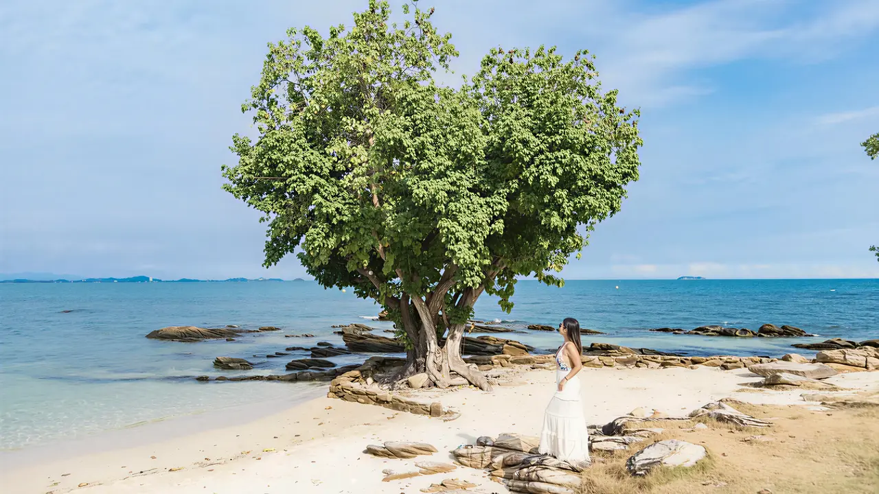 Piaszczysta plaża z drzewem w Sai Kaew